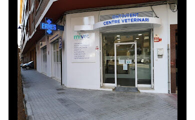 Veterinario Centre Veterinari d'Ontinyent | MiVet