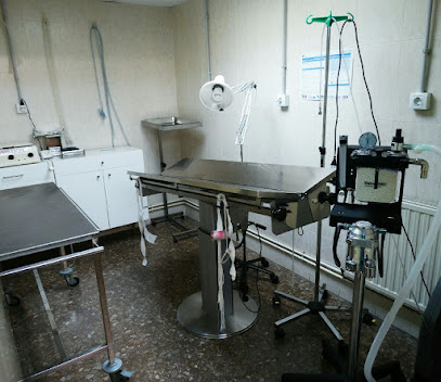 Centre veterinari SaniVet 1 Veterinario Centre veterinari SaniVet