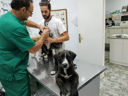 Veterinario Centro Veterinario Albéitar