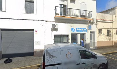 Veterinario Centro Veterinario Animalex