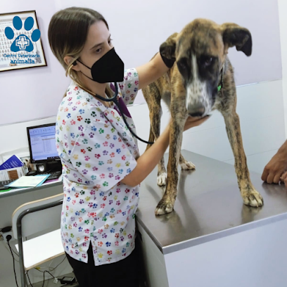 Centro Veterinario Animalia - Urgencias Chiclana 1 Veterinario Centro Veterinario Animalia - Urgencias Chiclana