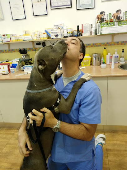 Centro Veterinario Anivet 1 Veterinario Centro Veterinario Anivet
