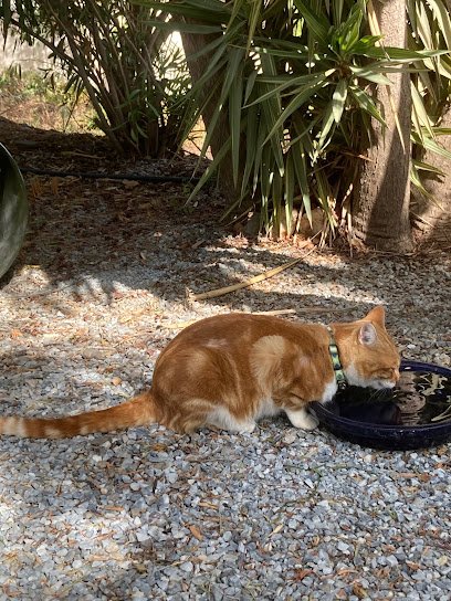 Veterinario Centro Veterinario Axarvet