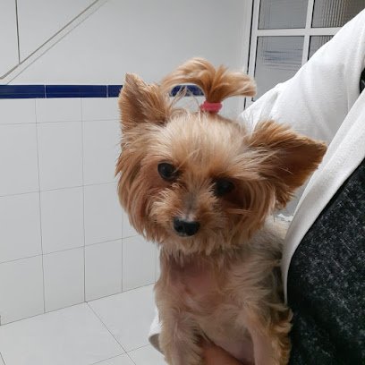 Veterinario Centro Veterinario Benalmádena Costa