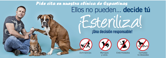 Centro Veterinario Camino de Mejina 1 Veterinario Centro Veterinario Camino de Mejina