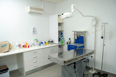 Centro Veterinario Canex 1 Veterinario Centro Veterinario Canex