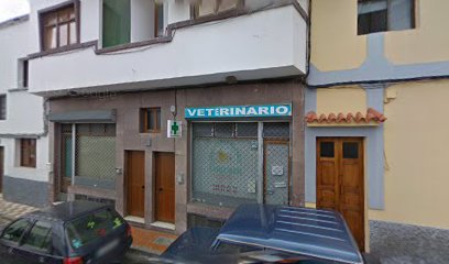 Centro Veterinario Cardones 1 Veterinario Centro Veterinario Cardones