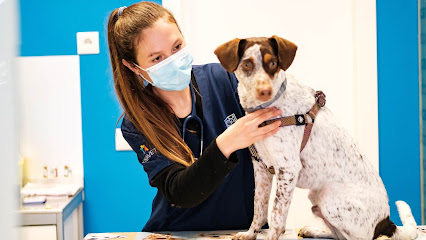 Centro Veterinario Catdog Gines 1 Veterinario Centro Veterinario Catdog Gines