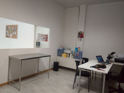 Centro Veterinario Córdoba 1 Veterinario Centro Veterinario Córdoba