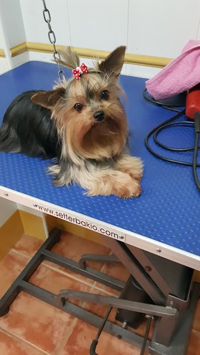 Veterinario Centro Veterinario Dunas