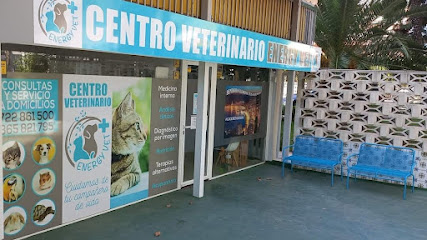 Centro Veterinario Energy Vet 1 Veterinario Centro Veterinario Energy Vet