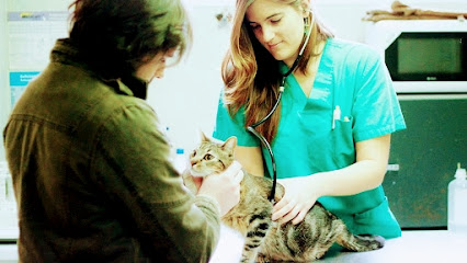 Centro Veterinario Eurocan Guadarrama 1 Veterinario Centro Veterinario Eurocan Guadarrama