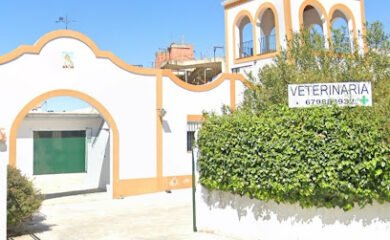 Veterinario Centro Veterinario Gerena