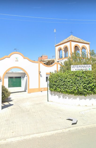 Veterinario Centro Veterinario Gerena