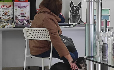 Veterinario Centro Veterinario Gestyvet