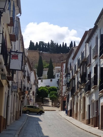 Veterinario Centro Veterinario Infante