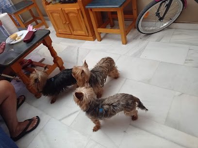 Veterinario Centro Veterinario La Ronda