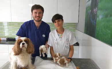 Veterinario Centro Veterinario Lidercan