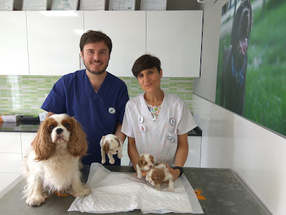 Centro Veterinario Lidercan 1 Veterinario Centro Veterinario Lidercan