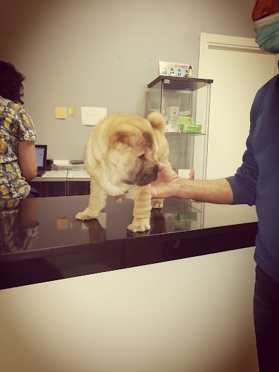 Veterinario Centro Veterinario MG