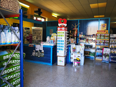 Centro Veterinario Mogán 1 Veterinario Centro Veterinario Mogán