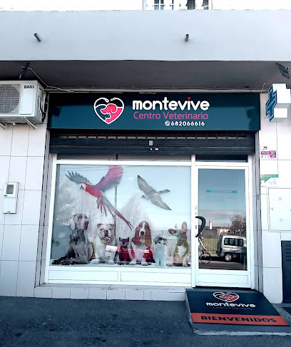 Centro Veterinario Montevive 1 Veterinario Centro Veterinario Montevive