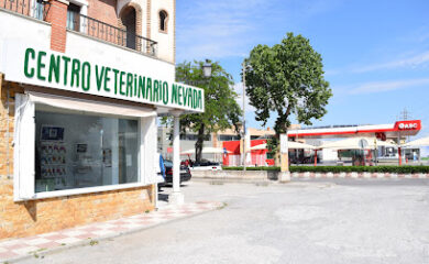 Veterinario Centro Veterinario Nevada