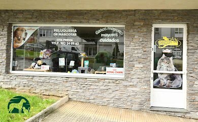 Veterinario Centro Veterinario Patiñas Lugo