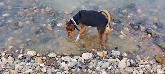 Veterinario Centro Veterinario Pedigree. Álora.
