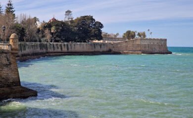 Veterinario Centro Veterinario "Plaza de España"