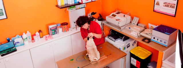 Centro Veterinario Ramon i Cajal 1 Veterinario Centro Veterinario Ramon i Cajal