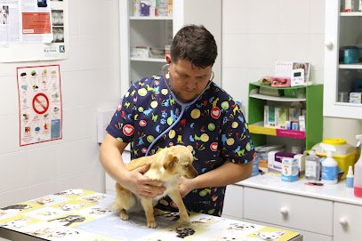 Veterinario Centro Veterinario Rico