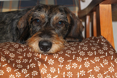 Centro Veterinario Rioja 1 Veterinario Centro Veterinario Rioja