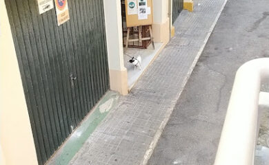 Veterinario Centro Veterinario San Antón