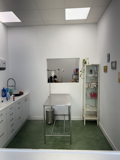Centro Veterinario San Antonio Abad 1 Veterinario Centro Veterinario San Antonio Abad