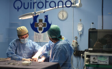 Veterinario Centro Veterinario Selcán