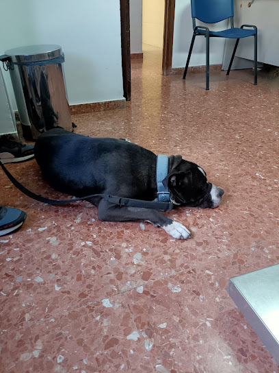 Centro Veterinario Tarancón 1 Veterinario Centro Veterinario Tarancón