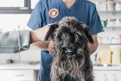 Veterinario Centro Veterinario Torrelodones