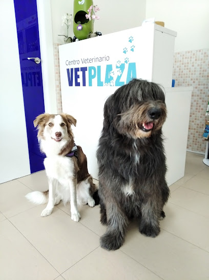 Veterinario Centro Veterinario VETPLAZA