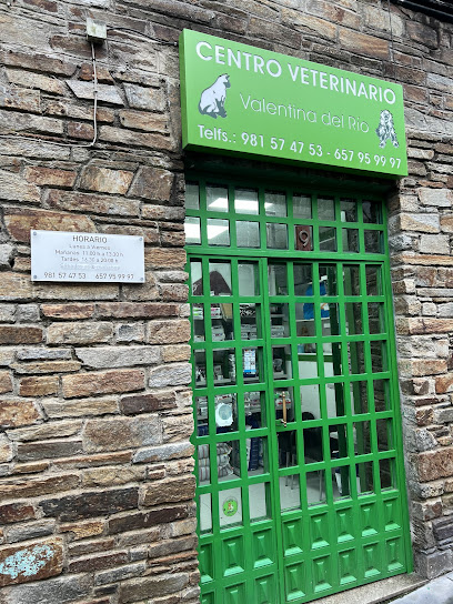 Centro Veterinario Valentina del Río 1 Veterinario Centro Veterinario Valentina del Río