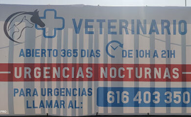 Veterinario Centro Veterinario Vélez 365