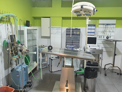 Centro Veterinario Veravet 1 Veterinario Centro Veterinario Veravet