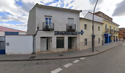 Centro Veterinario 1 Veterinario Centro Veterinario