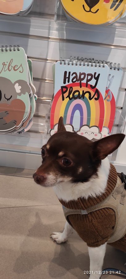 Veterinario Centro veterinario Paiporta