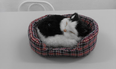 Clínica Jara 1 Veterinario Clínica Jara
