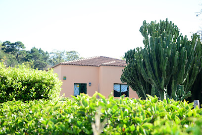 Clínica La Caridad 1 Veterinario Clínica La Caridad