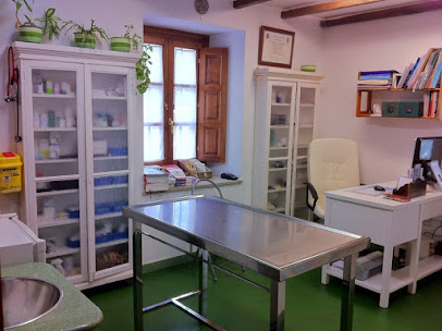 Clinica Veterinaria Africa 1 Veterinario Clinica Veterinaria Africa