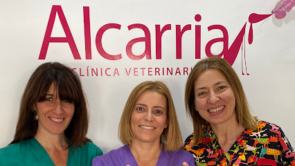 Clínica Veterinaria Alcarria 1 Veterinario Clínica Veterinaria Alcarria