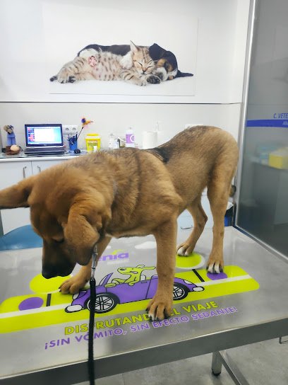 Veterinario Clínica Veterinaria Alhaurín De La Torre