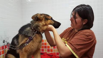 Clínica Veterinaria Almodovar 1 Veterinario Clínica Veterinaria Almodovar